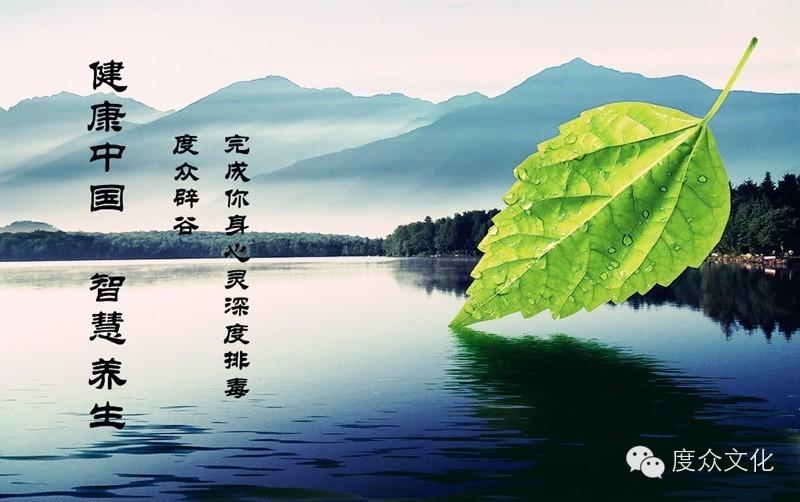 问鼎app官方下载 辟谷养生 一次身心灵的改变
