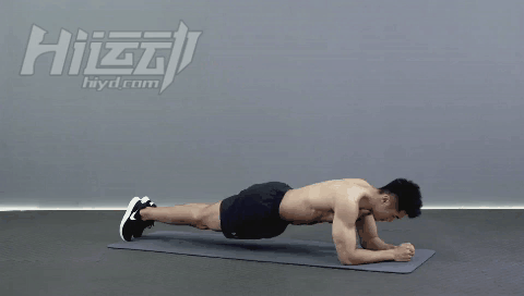 平板支撑训练_健身椅支撑怎么做_核心肌群