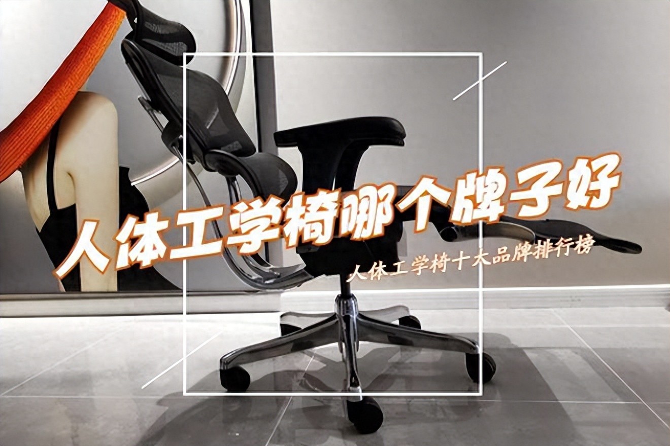 人体工学椅选购要点_推荐健身椅_人体工学椅品牌排行榜前十名