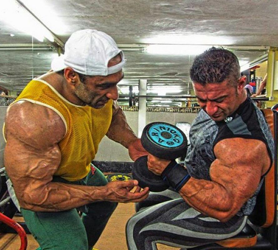 哑铃动作详解_哑铃全身训练_哑铃健身椅什么牌子好