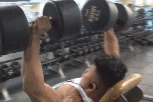 哑铃全身训练_哑铃动作详解_哑铃健身椅什么牌子好