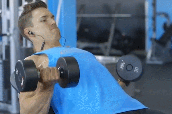 哑铃健身椅什么牌子好_哑铃全身训练_哑铃动作详解