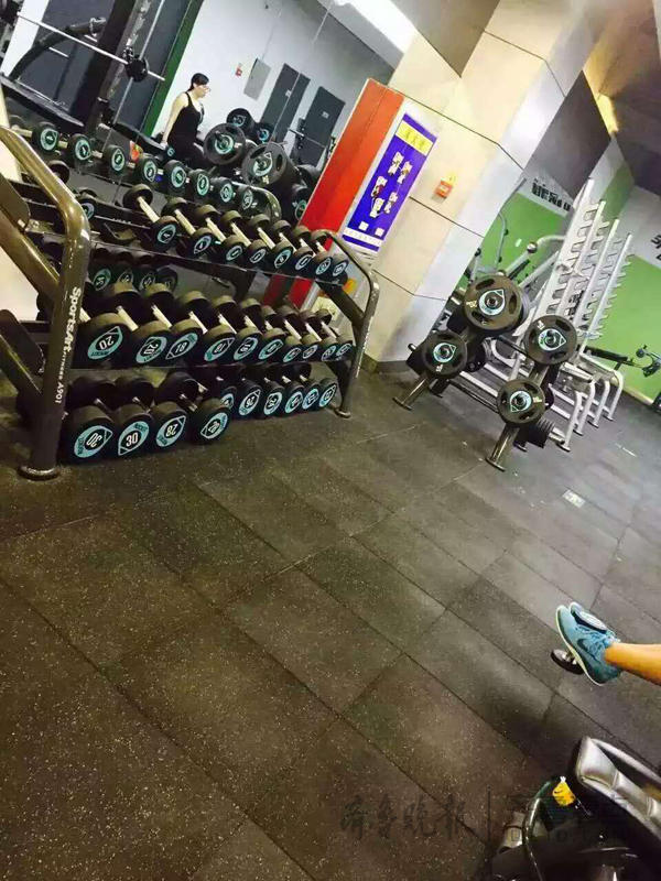 启领绿色健身理念_sportsart fitness单车_SportsArt时保雅临沂健身俱乐部