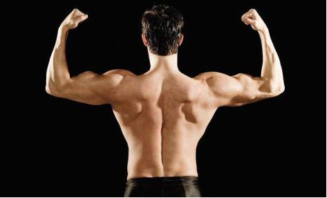 家用健身器材推荐_喜得健健身椅_搏飞多功能健身椅