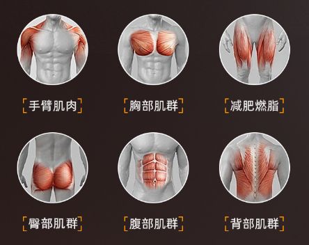 立式收腹机有效果吗_腰臀比_全身照VS自拍照