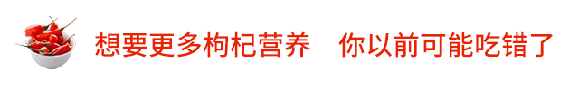 鲜枸杞营养_长期喝黑枸杞皮肤好得不得了_枸杞原浆