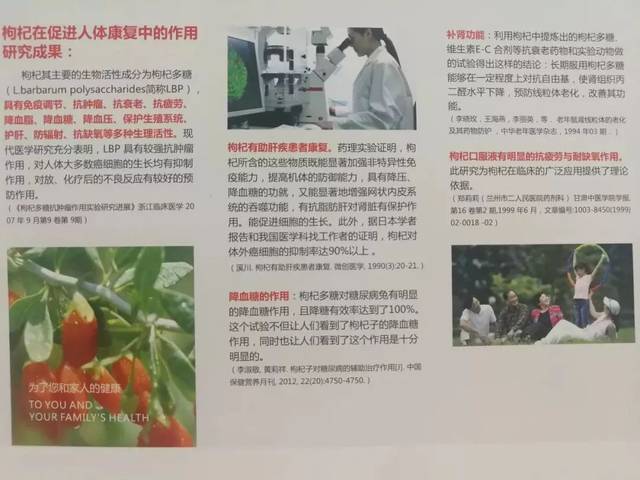 鲜枸杞营养_长期喝黑枸杞皮肤好得不得了_枸杞原浆