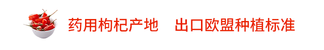 鲜枸杞营养_长期喝黑枸杞皮肤好得不得了_枸杞原浆