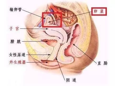 美容院常见骗局揭秘_美容院虚假项目揭露_美容面罩有用吗