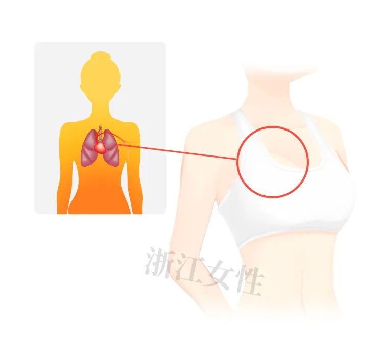 腹部贴健身器有害吗_适合女性的健身器械_健身器材推荐