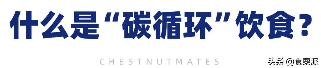 2025天天彩资料大全最新版 听我一句劝：「碳循环」这样的高阶玩法，普通人减肥就别尝试了