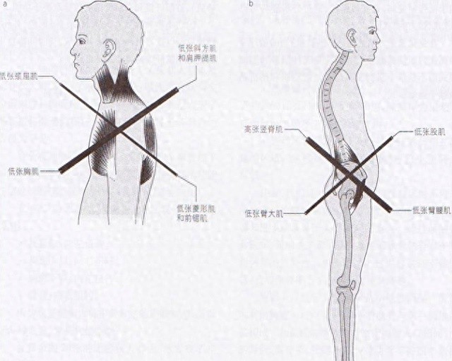 靠墙站_靠墙站的好处_健身椅锻炼方法视频