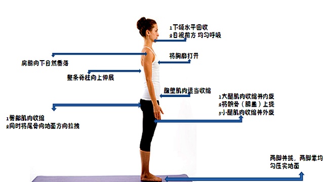 靠墙站的好处_健身椅锻炼方法视频_靠墙站