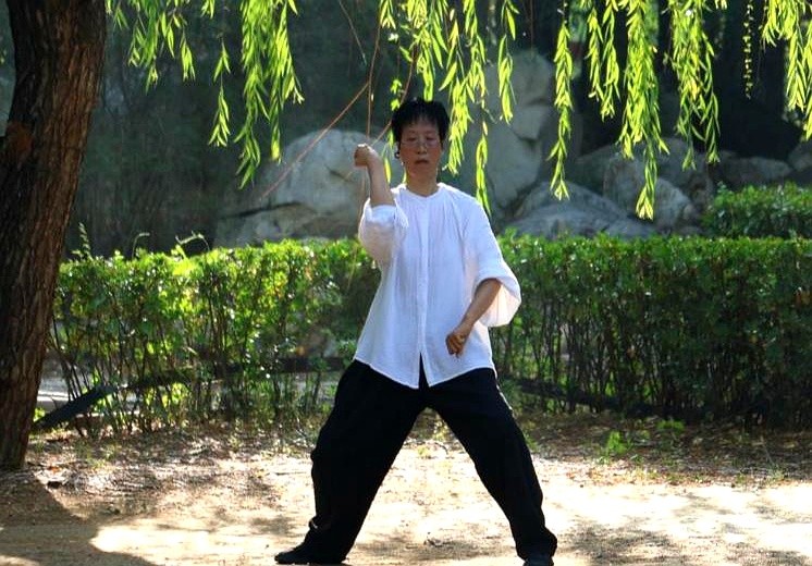 老年人运动排行榜_中老年人广场健身体操_快步走与太极拳对比研究