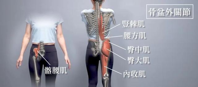 骨盆后倾矫正_骶髂关节运动康复_健身椅锻炼方法视频