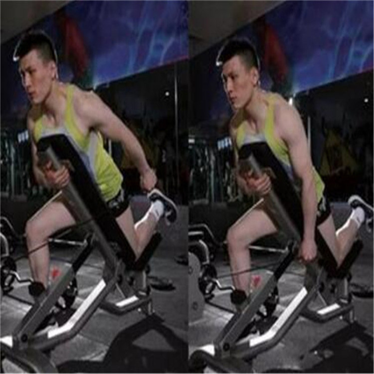 实地厂家健身房健身器材,健身房力量型健身器材,二头肌训练器,