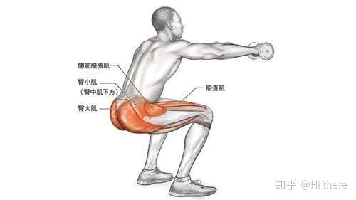 健身解剖结构学习_健身入门词汇_健身手套的作用