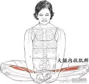 束角式瑜伽练习步骤_束角式瑜伽解剖体位图_瑜伽健身椅图片