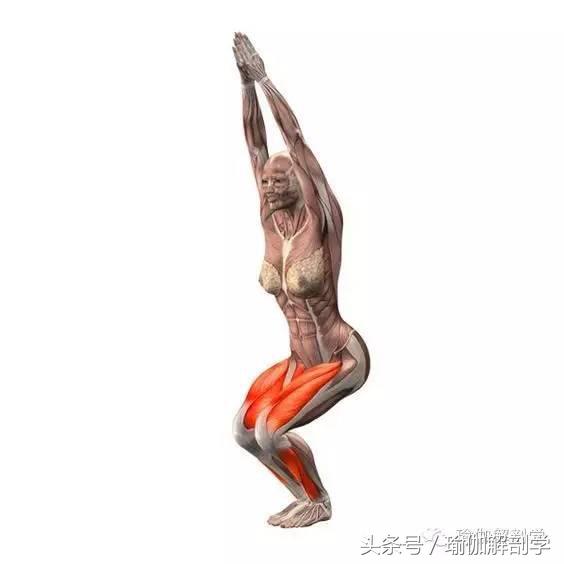 幻椅式膝盖压力减轻方法_瑜伽幻椅式膝盖保护技巧_瑜伽健身椅图片