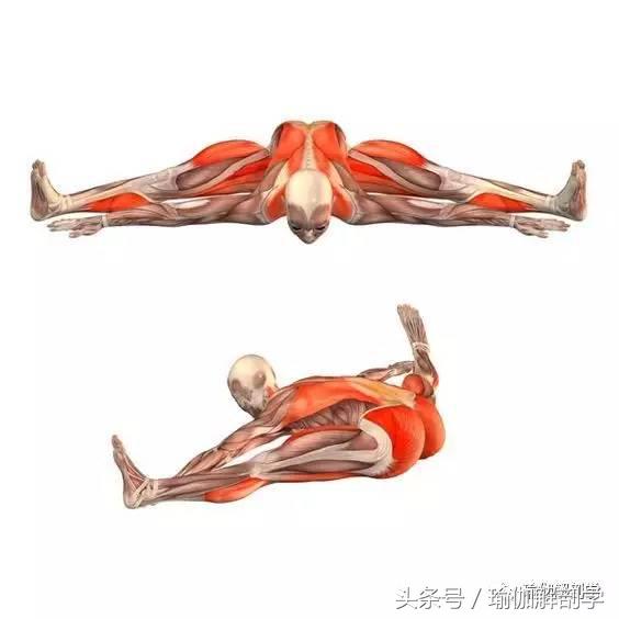 瑜伽健身椅图片_坐角式瑜伽解剖图_坐角式瑜伽步骤