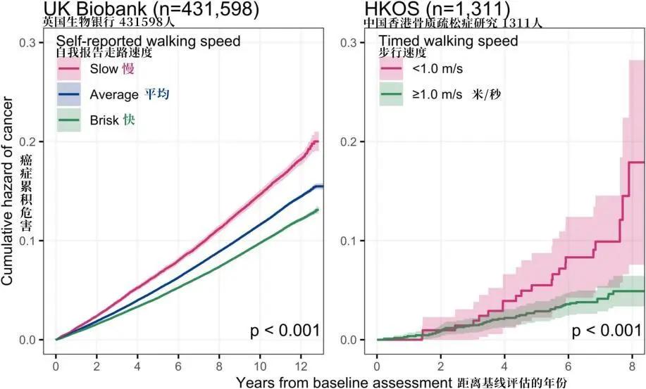 sportsart fitness_走路速度快与癌症风险降低_走路速度与长寿关系