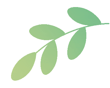 2025年正版资料免费最新版本 收购国际品牌，嘉定这家企业加速全球市场布局与智能化转型