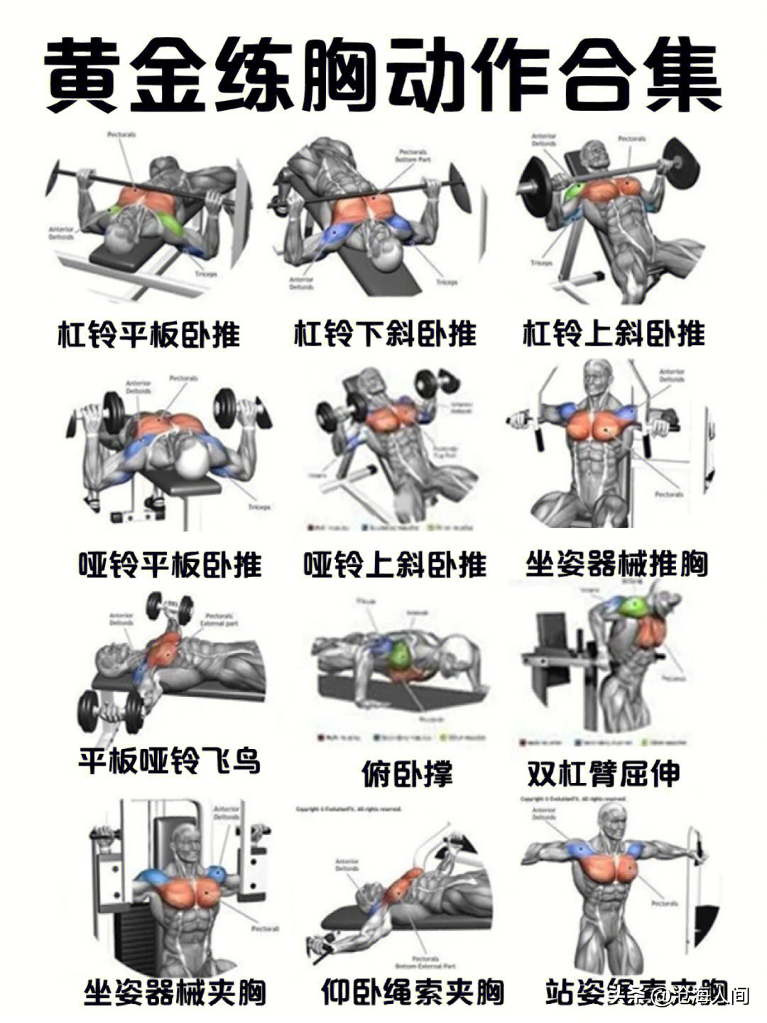 老年健身体操全身运动_中老年人健身锻炼内容选择_中老年人健身锻炼时间安排