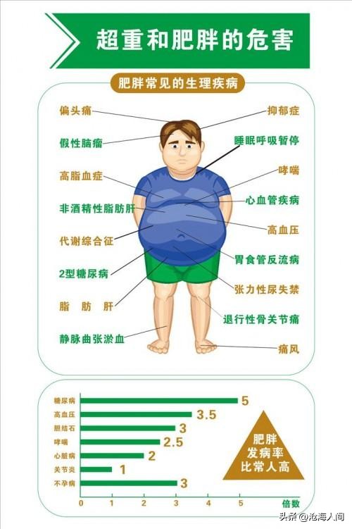 中老年人健身锻炼内容选择_中老年人健身锻炼时间安排_老年健身体操全身运动