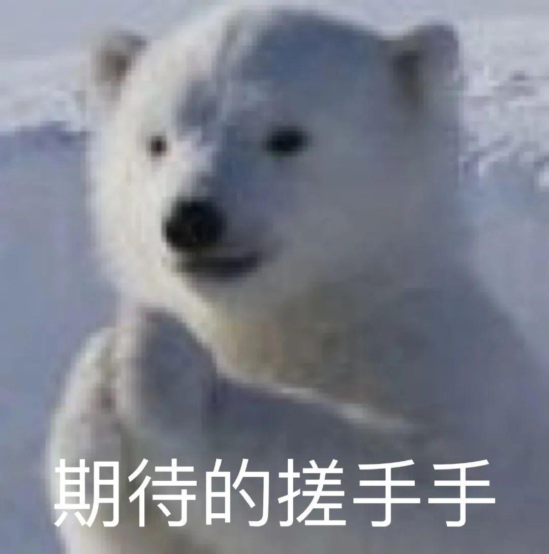 网上买跑步机什么牌子好_麦瑞克小白犀2代评测_国产跑步机品牌排名