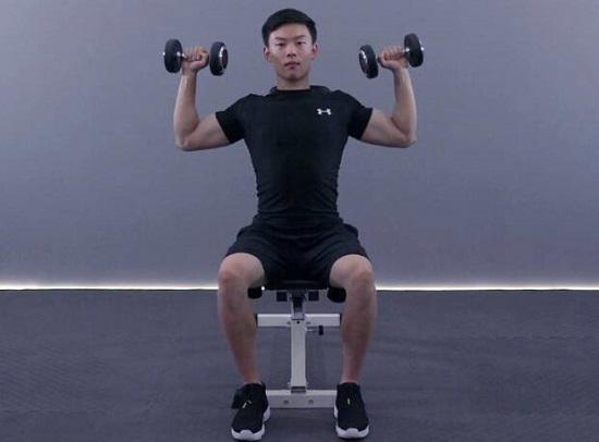 坐姿哑铃推举
