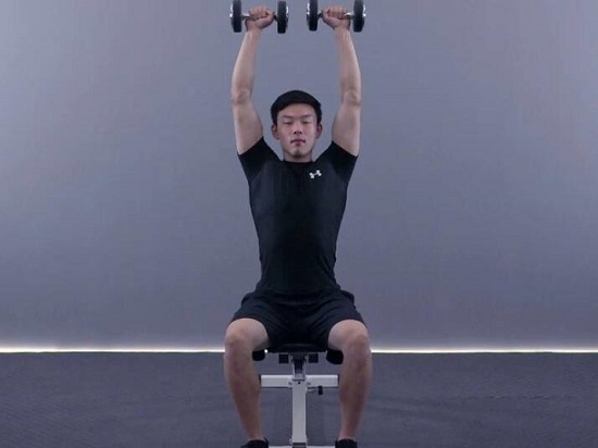 坐姿哑铃推举