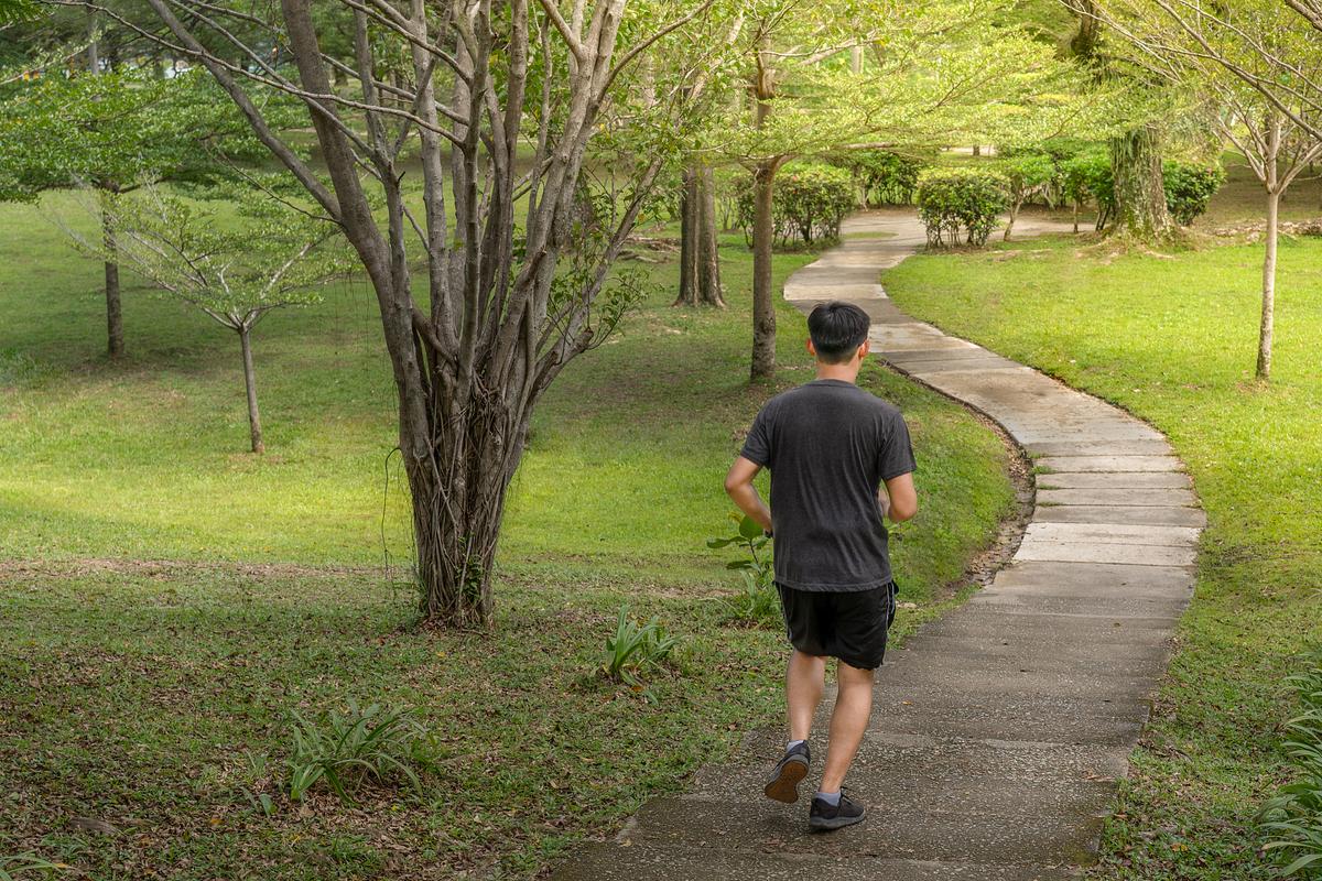 男性运动内分泌变化_男性长期规律运动好处_男人长期慢跑的好处