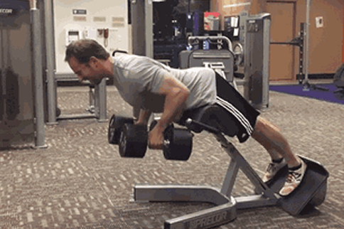 罗马椅俯身划船