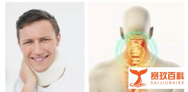 人体工学椅选购指南_2025年最佳人体工学椅推荐_健身椅哪个牌子好