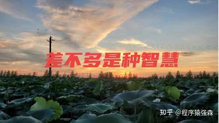 增肌饮食计划_精确计算法_饮食减肥的最好方法如下