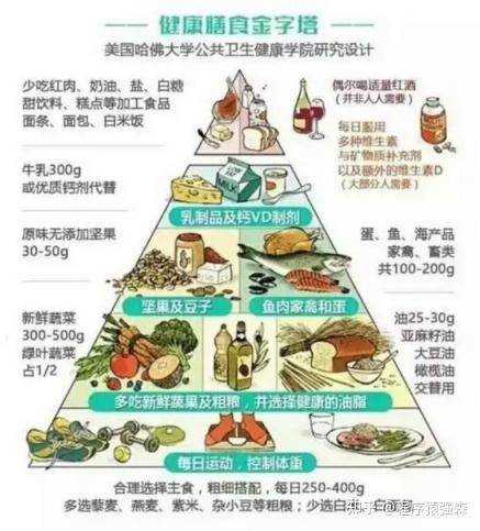 精确计算法_饮食减肥的最好方法如下_增肌饮食计划