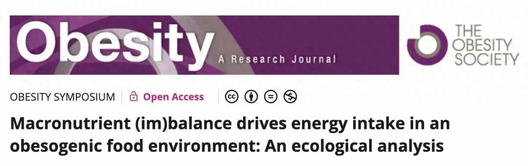 早餐吃太素的影响_早餐吃什么容易瘦下来_早餐蛋白质摄入不足