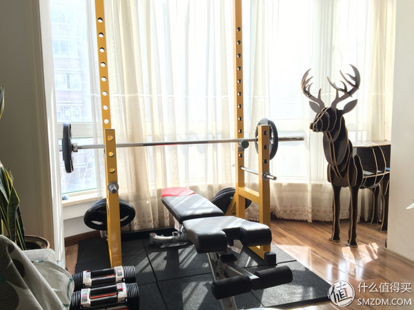 健身手套小还是大点好_哑铃选购指南_家庭健身设备