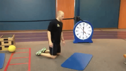 哑铃健身椅_居家力量训练_哑铃居家锻炼