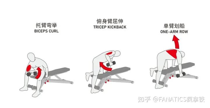 家用哑铃凳挑选_哑铃凳训练动作图解_哑铃健身椅