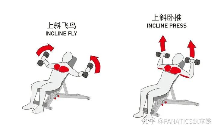 哑铃健身椅_哑铃凳训练动作图解_家用哑铃凳挑选