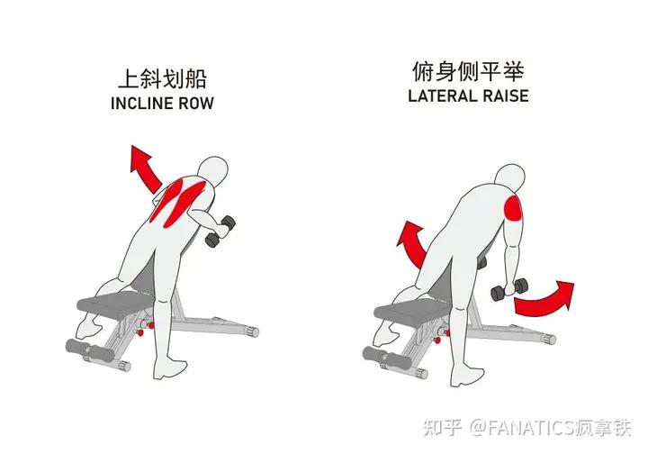 家用哑铃凳挑选_哑铃健身椅_哑铃凳训练动作图解