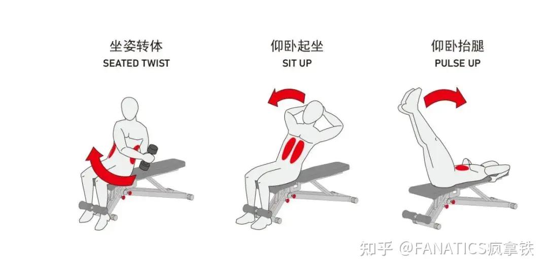 家用哑铃凳挑选_哑铃凳训练动作图解_哑铃健身椅