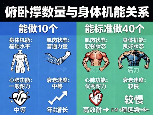 俯卧撑标准动作数量_耐力好的人有什么好处_身体衰老速度测试