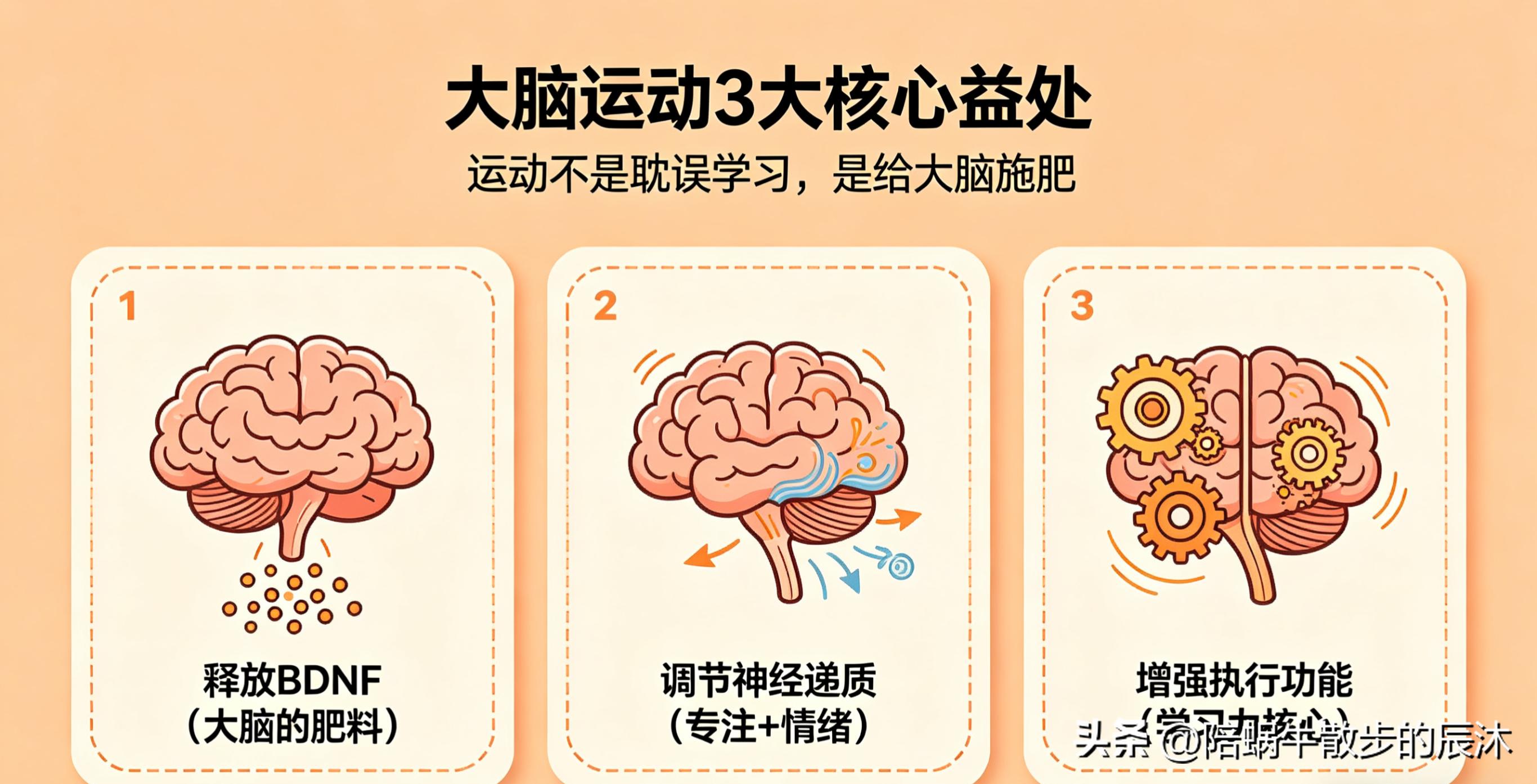 锻炼反应速度 小程序_协调性有氧运动改善学习效率_大脑运动提升专注力