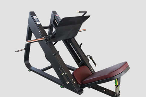 大飞鸟健身器材_健身椅 评测_健身器材种类