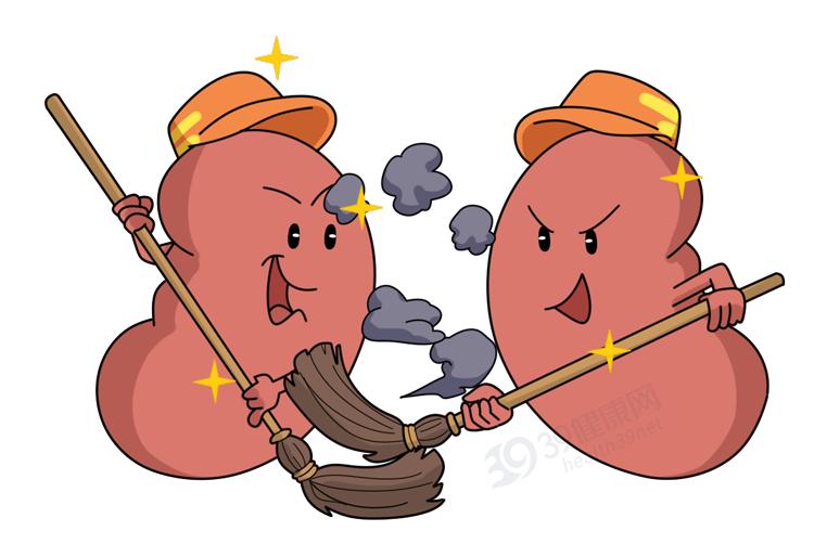 最好的运动型饮料_远离伤肾食物_保护肾脏健康