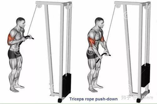 健身椅推荐_健身解剖词汇_健身入门词汇