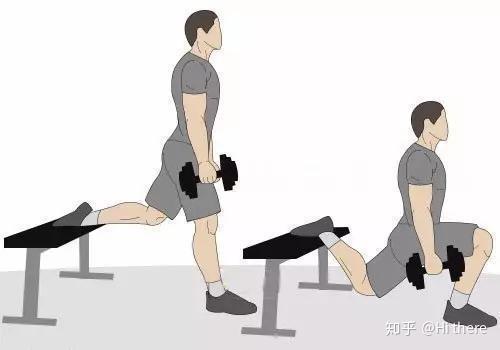 健身椅推荐_健身入门词汇_健身解剖词汇