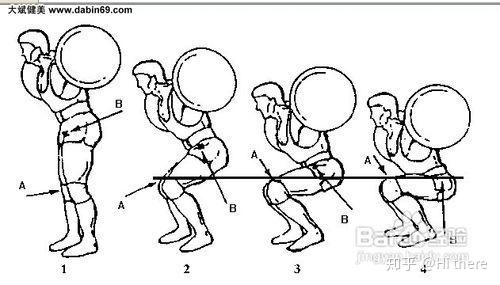 健身解剖词汇_健身椅推荐_健身入门词汇